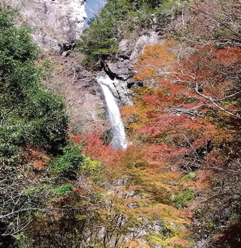 暮らしの情報　11月号