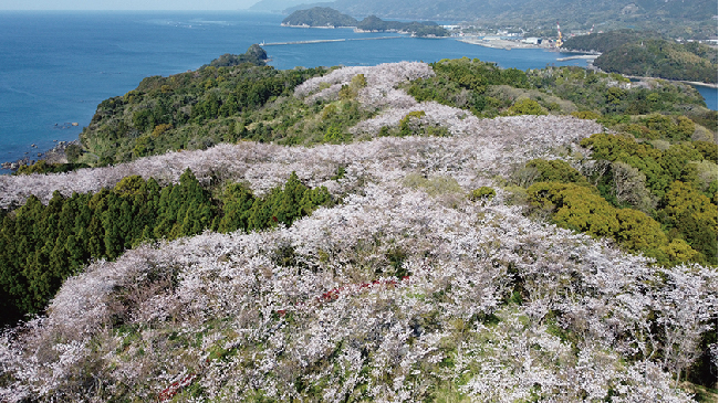 暮らしの情報　3月号